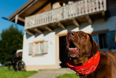 Ferienhaus im Landhausstil im Vital Camp...