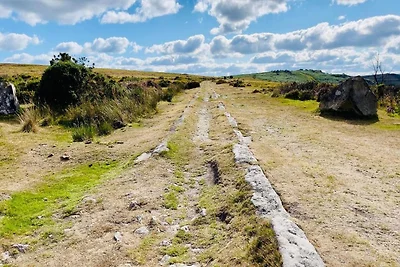 Hütte in Dartmoor mit Landschaftsblick