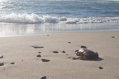 6 Personen Ferienhaus in Ringkøbing