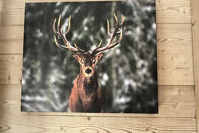 Wohnung in Les Campanules in der Nähe der...