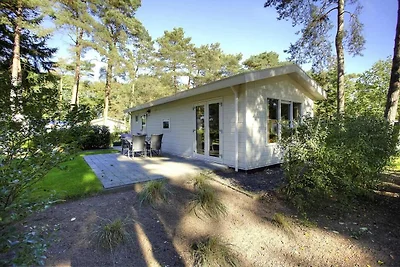Chalet mit Grünanlage und Terrasse