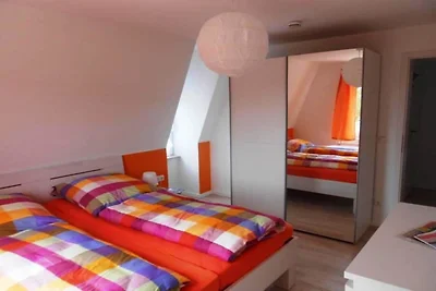 Gabbiano comune nella Haus Glückauf