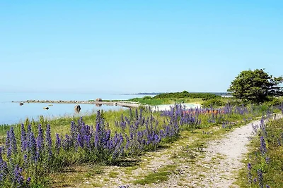 5 Sterne Ferienhaus in Gotlands Tofta-By...