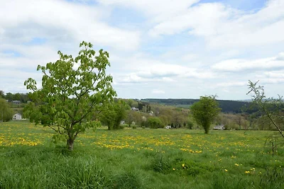 Gemütliches Ferienhaus in Waimes in Waldnähe