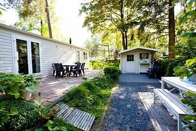 Gepflegtes Chalet in einem Ferienpark angrenz...