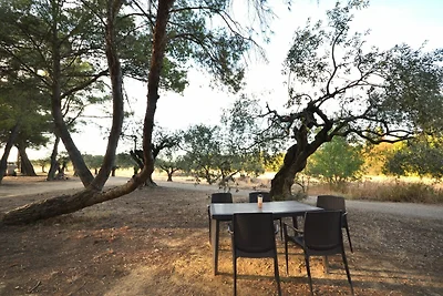 Wohnung mit Pool im Herzen der Weinberge