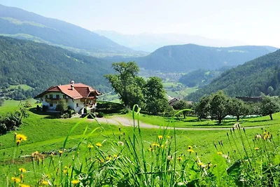 Oberplunerhof - appartamento per vacanze...