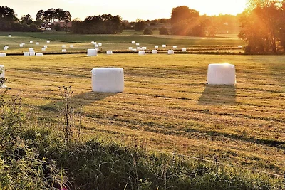 4 Personen Ferienhaus in TRELLEBORG-By Traum
