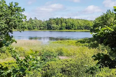 4 Personen Ferienhaus in Aars-By Traum