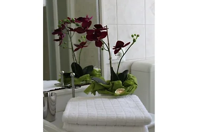 Casa vacanze Vacanza di relax Villa Faraldi