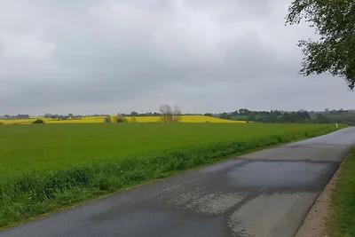 4 Sterne Ferienhaus in Hornsyld