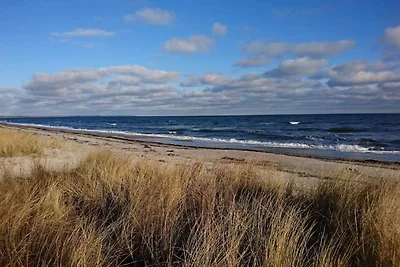 6 Personen Ferienhaus in Væggerløse-By Traum