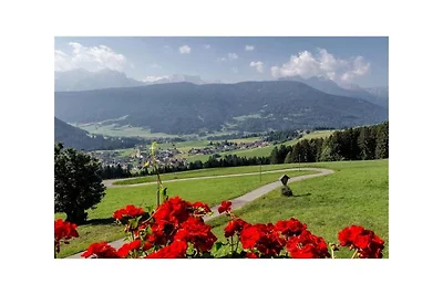 Stella alpina sul Mahrhof