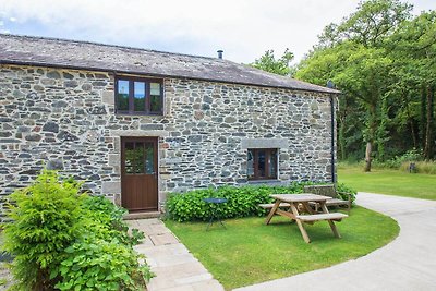 Schönes Ferienhaus mit Kamin in Tavistock