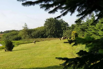 8 persone case ad Silkeborg