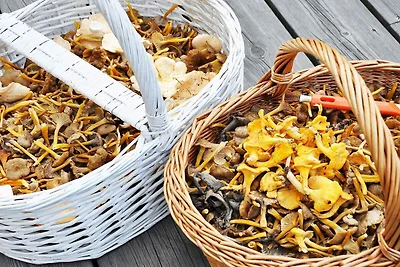 4 Personen Ferienhaus in KODE