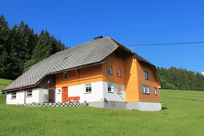 Zipfelhanisenhäusle