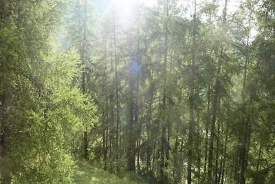 Appartement in Larch Forest vlakbij de pistes