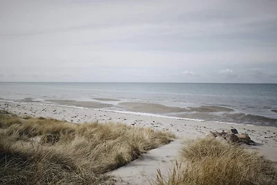 6 persoons vakantie huis in Læsø