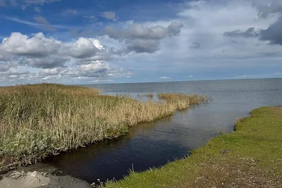 8 Personen Ferienhaus in Ørsted-By Traum
