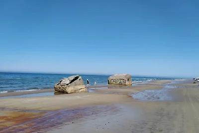 5 Sterne Ferienhaus in Ålbæk-By Traum