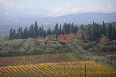 Splendida casa vacanze a San Donato in Poggio...