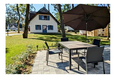 Sandregenpfeifer