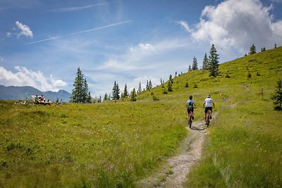 Charmante Wohnung 850 m vom Skigebiet