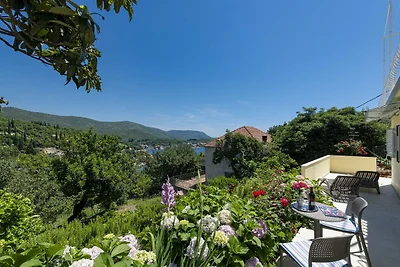 Guest House Rooms Rose - Studio with Terrace