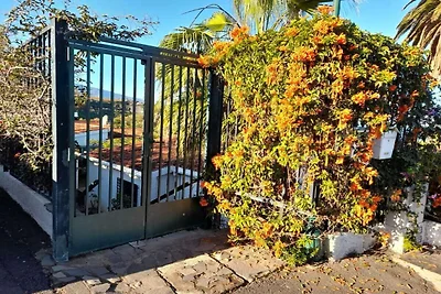 Bungalow avec 1 chambre
