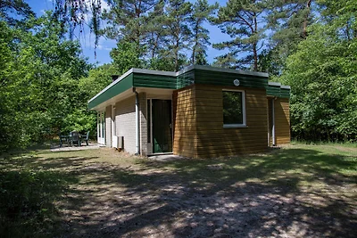 Bungalow con camino, non lontano da Assen