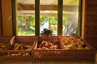 Modernes Chalet mit Terrasse in den...
