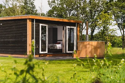 Chalet mit Sauna auf dem Sallandse Heuvelrug
