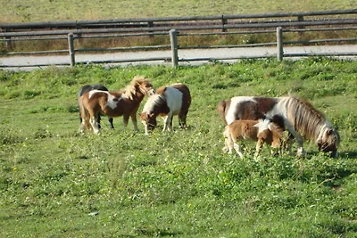 Winnewieser Hof