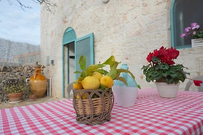 Schöne Trulli-Unterkunft mit Anbau in Locorot...