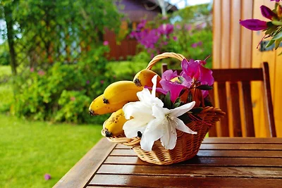 Bungalow a Vila Franca do Campo