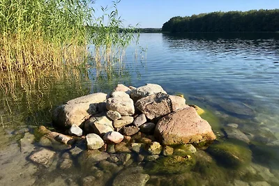 Ferienwohnung Familienurlaub Feldberg