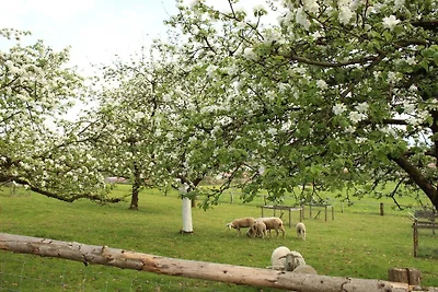 Op de Georgenhof-boerderij