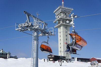 Geräumiges Appartement nahe Skigebiet in...