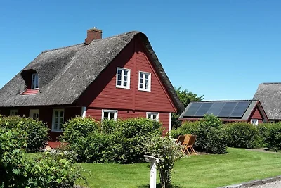 Vakantiehuis Ontspannende vakantie Süderende