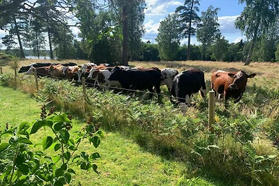 5 Personen Ferienhaus in FLISBY