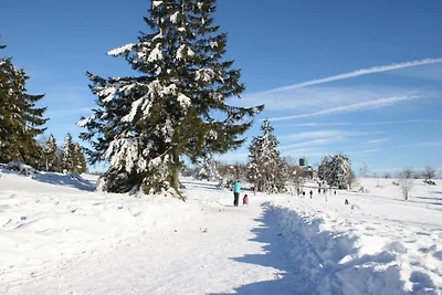 Olsberg Appartement dichtbij Skipistes