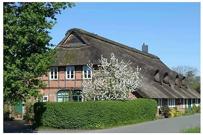 Appartement de vacances « Sur la digue »