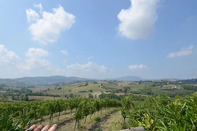 Wohnung in Passano di Coriano mit Pool