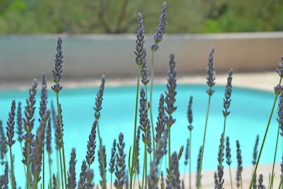 Villa moderna con piscina a Bargemon