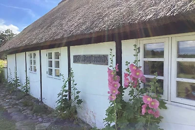 4 Sterne Ferienhaus in Læsø