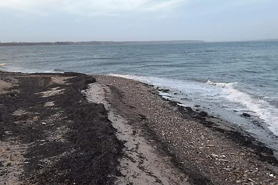 Ruim toevluchtsoord bij Limfjorden -- By Trau...
