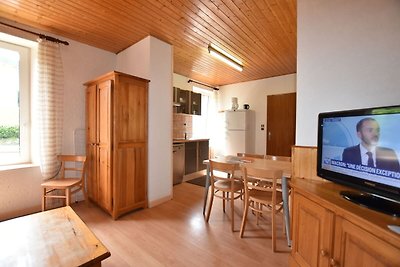 Appartement bij het skigebied in La Bresse