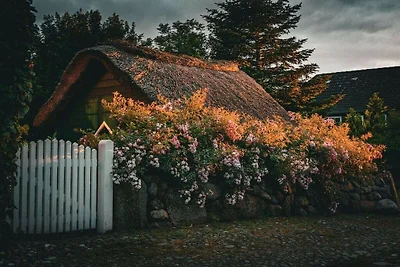 Ferienhaus in Midlum mit Schwimmbecken