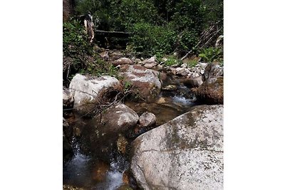 La felicità a casa nella Foresta Nera